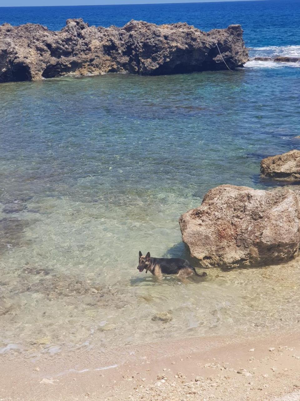 Forever Cottage Robins Bay 외부 사진