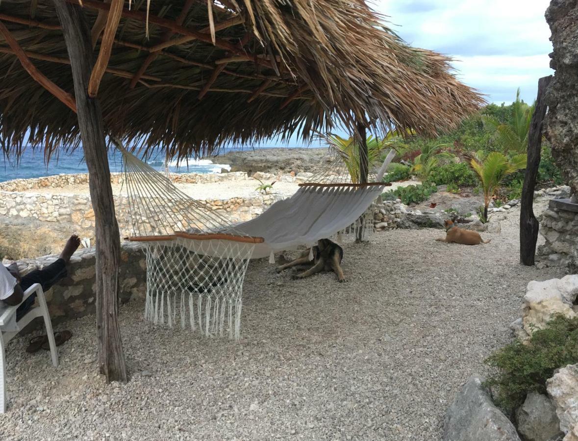 Forever Cottage Robins Bay 외부 사진